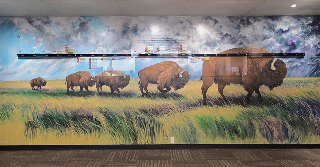 Wide indoor mural showing bison walking through tall prairie grass beneath a dramatic cloudy sky, with a horizontal timeline and labeled markers running across the upper middle of the scene.
